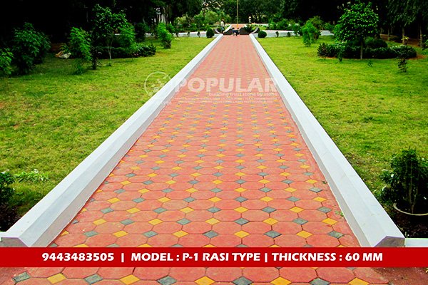 Designer Paver Block